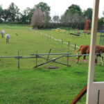 Kampeerhoeve paarden speeltuin weiland grasveld